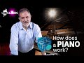 How does a piano work? Pulling apart a grand piano