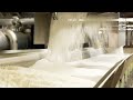 Understanding Sugar Production