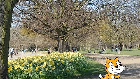 Scratch Coding - How to use your own picture as a backdrop