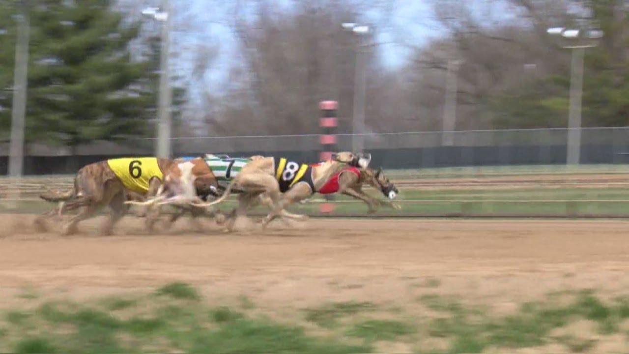 The last Iowa Greyhound racetrack closing after 37 years of operation