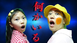 【ミステリー寸劇】誰かいる！？お菓子が人形がなくなる！　みこちゃんきらこ仲良くお留守番できるかな？　禰豆子のチョコバー開封