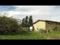 Weed Eating Goats Time Lapse