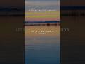 Loote - Tomorrow Tonight (Lyrics) #tonight #tomorrow #lyrics