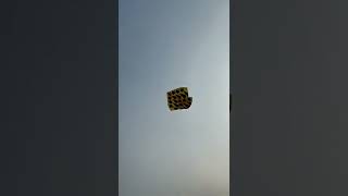 New Beautiful Big Kite Flying