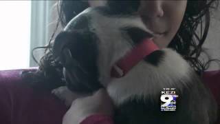 Local Group Gets "Wings of Rescue" Dogs