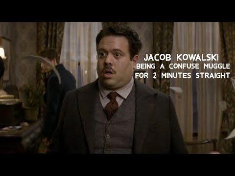jacob kowalski being a confuse muggle for 2 minutes straight