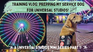 Training Vlog: Prepping my Service Dog for Universal Studios! | Universal Studios Mini Series Pt 1!✨ by helperpupatlas 1,393 views 1 year ago 19 minutes