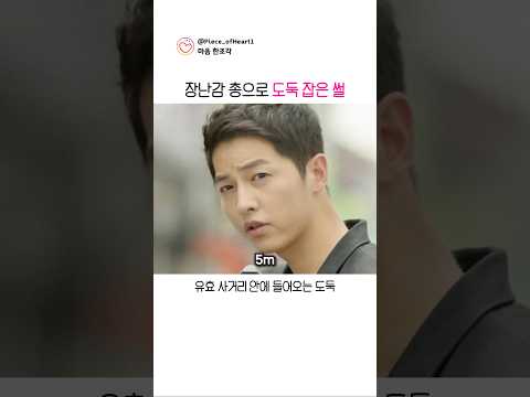 장난감 총으로 도둑 잡은 썰 thumbnail