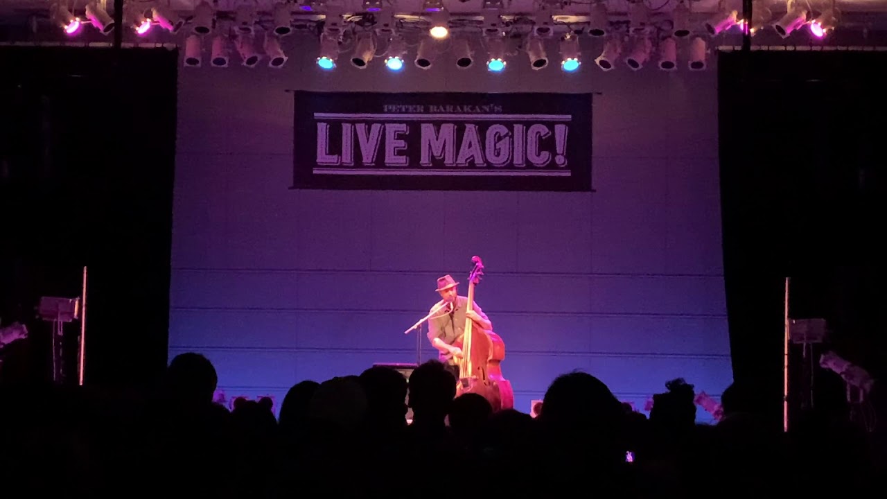 Chasing The Real Things