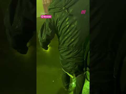 Москву и Подмосковье снова топит