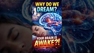 WHY DO WE DREAM!!?