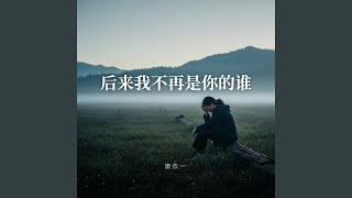 后来我不再是你的谁