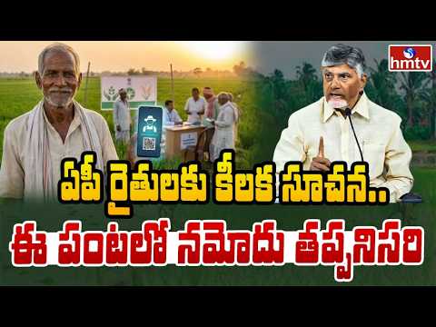 TO THE POINT : ఏపీ రైతులకు కీలక సూచన.. ఈ-పంటలో నమోదు తప్పనిసరి | hmtv - HMTVNEWS