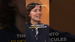 Avoid Eating Sugar In The Morning! | Jessie Inchauspe