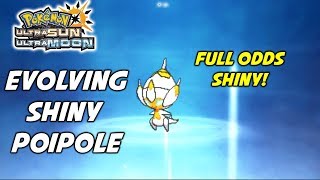 Stakataka /& Poipole Guide Naganadel 6IV Shiny Blacephalon Ultra Sun//Moon
