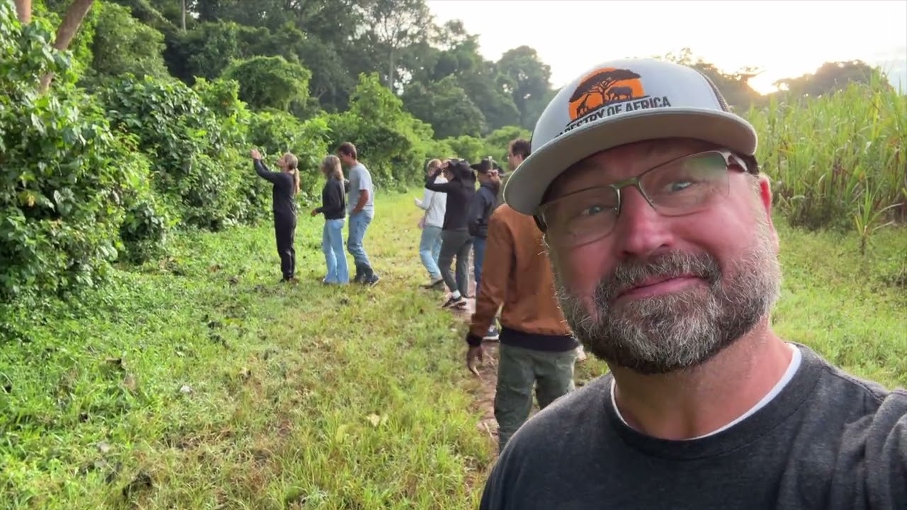 Wild Chimpanzees in Budongo Forest | Uganda's Hidden Primate Paradise 🐒