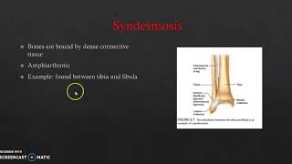 Chapter 8. Fibrous joints