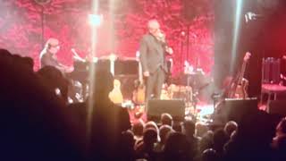 Elvis Costello Gramercy NYC - The Loved Ones