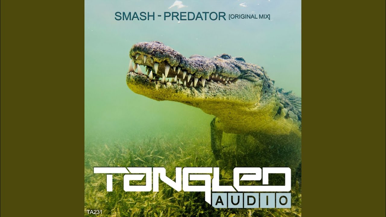 Watch Predator (Original Mix) on YouTube Watch Predator (Original Mix) on YouTube