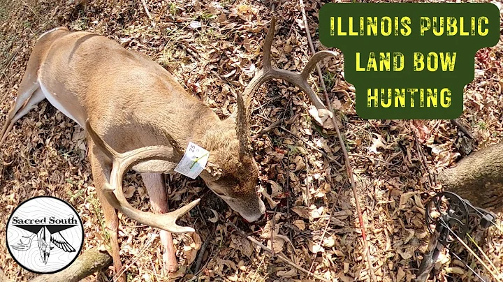 Illinois PUBLIC LAND BOW Hunting | Self Filmed | BUCK DOWN | Illinois RUT hunting | FIRST BOW KILL
