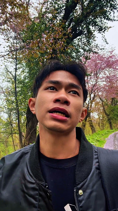 Akhirnya liat kumpulan sakura di Jepang dah mekar #healingdijepang  #ceritaperjalanan #travel #jpn