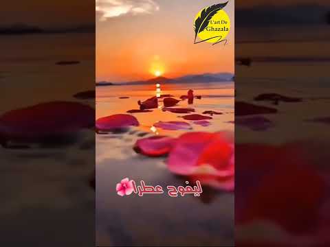 مساء الورد لاصحاب الهمم العالية 
