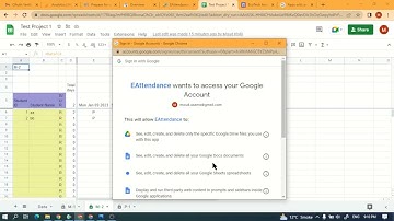 Google OAuth Demo video    How scope will be used