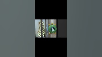 Program your own turtle graphics turtle with Circuit Python! learn.adafruit.com/tft-gizmo-turtle