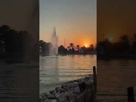 Jawatha park Saudi Arabia Al Hasa #shortvideo #saudiaarbia #Jawatha #park