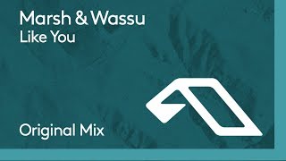 Video thumbnail of "Marsh & Wassu - Like You"