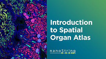 Discovering Spatial Molecular Anatomy with NanoString