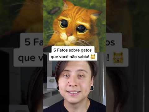 Vídeo: Saúde felina: sintomas que você não deve ignorar