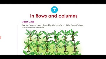 CHAPTER 7 IN ROWS AND COLUMNS  PART 4  ENGLISH MEDIUM
