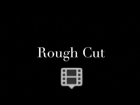 Lesson 2.5: Rough Cut - YouTube