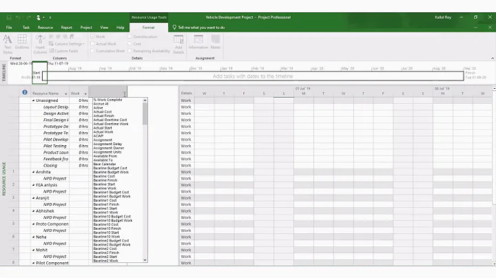 How to allocate budget to a Project in Microsoft Project?