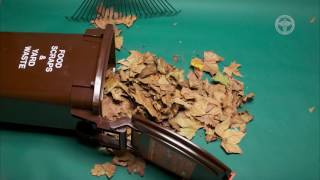 DSNY: Fall Leaf Collection 2016