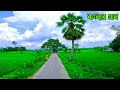         beautiful village scenery of bangladesh bd shomachar