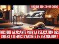 Musique apaisante pour la relaxation des chiens atteints danxit de sparation 