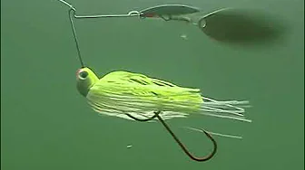 Bass Pro Shops - The Bass Pros  - S01E06