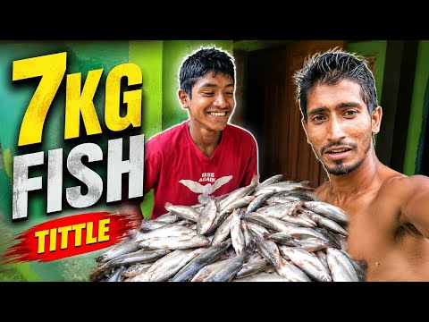 7 Kg Fish Hunting in Badigad River || Amazing River Fishing 
