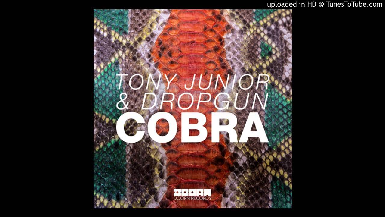 Download Tony Junior & Dropgun - Cobra (Original Mix) MP3