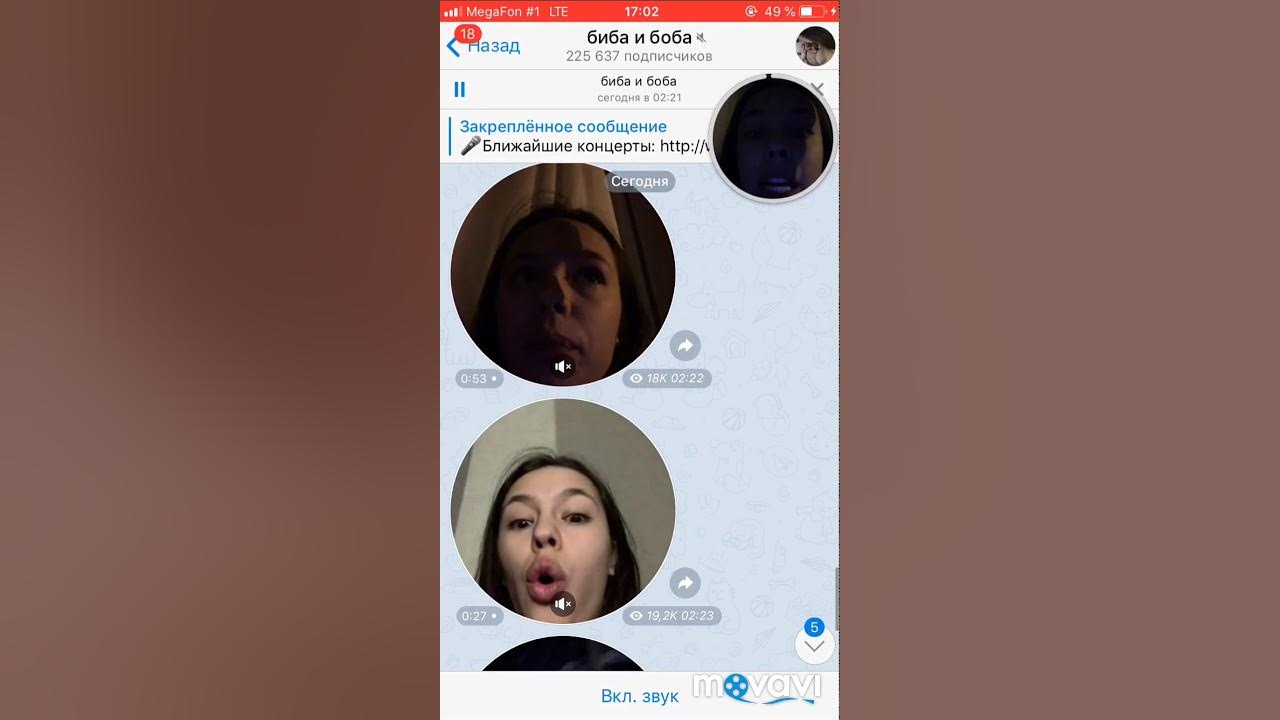 Инстасамка плейлист. Плакат концерта инстасамки. Instasamka снова обложка. Песня инста самки текст. Текст инстасамка липси.