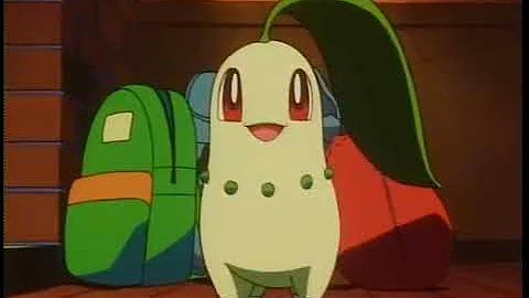 Chikorita sleeps besides ash