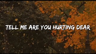 OneRepublic - Secrets (Tell me are you hurting dear (lyrics)