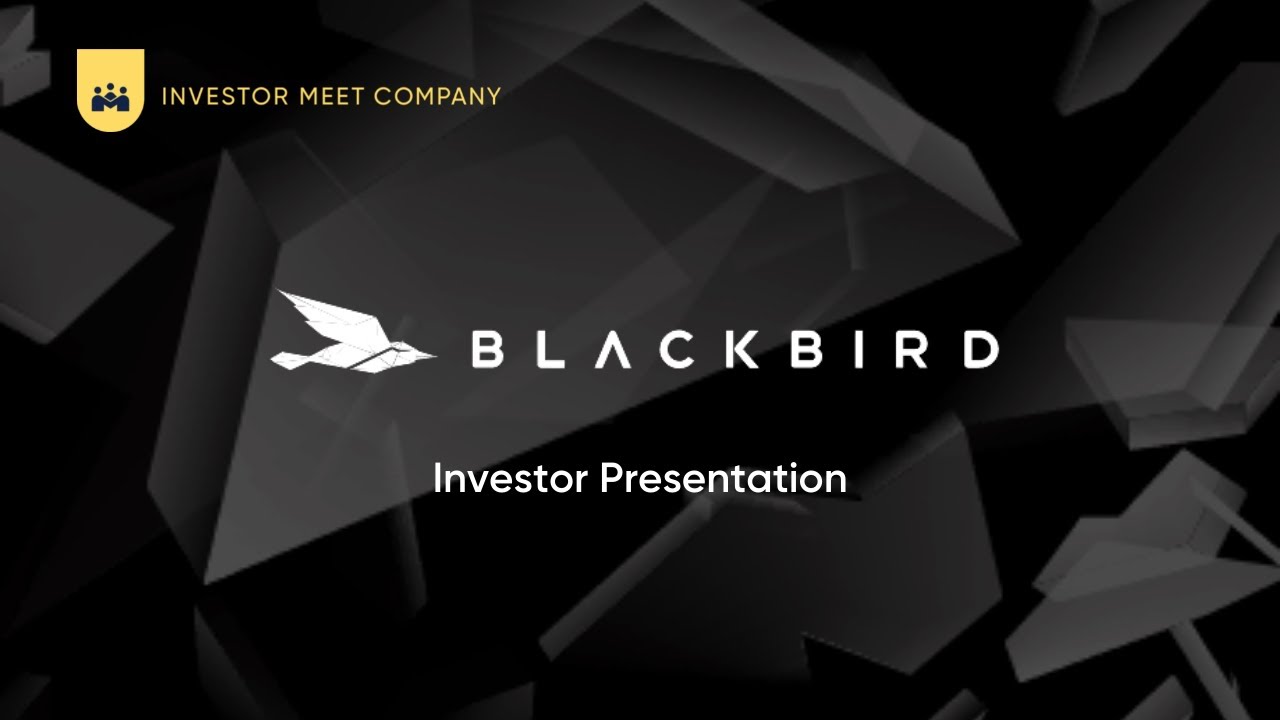 BLACKBIRD PLC - Final Results