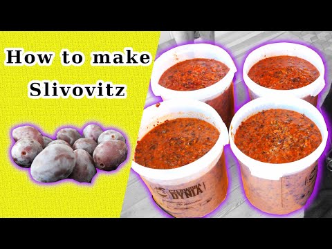 Video: „Slivovitz“, Mėgstamiausio Rytų Europos Brendžio, Vadovas