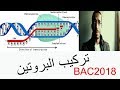 مراجعة للبكالوريا تركيب البروتين ARNبوليمراز رامزات التوقف ARN الرسول الناضج الجزء 2 