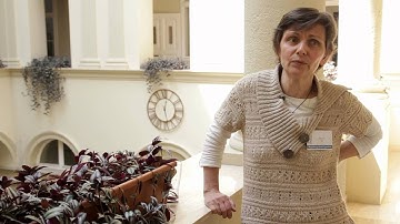 MODULE - Létkérdések projekt záróeseménye - rövid összefoglaló