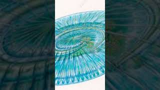 extinct creatures pt1 (maybe I will make more if you want)