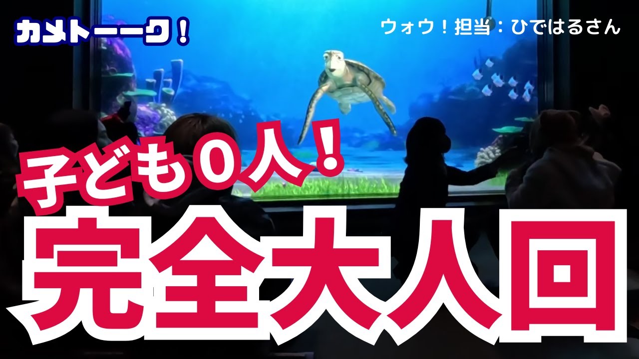 子ども０人！完全大人回／自分に自信を持てる方法を教えてほしい【東京ディズニーシー・タートルトーク】